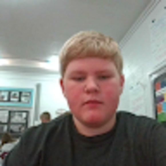 Meet your Posher, Jake - Picture 1 of 1